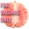 For Vaginas Only artwork