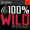 The 100% Wild Podcast artwork