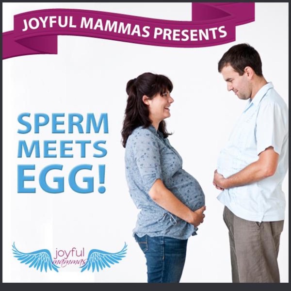 Sperm Meets Egg