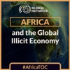 Africa and the Global Illicit Economy artwork