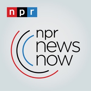 NPR News: 04-07-2020 7AM ET