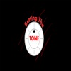 Setting The Tone artwork