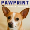 Pawprint | animal rescue podcast for dog, cat, and other animal lovers artwork