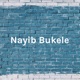 Nayib Bukele - Primer Presidente Milenial