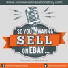 So You Wanna Sell On eBay artwork