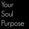 Your Soul Purpose artwork