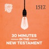 30 Minutes In The New Testament artwork