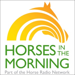 Veterans Day Salute to Human and Animal Veterans, Leslie Bateman and Radiothon Announcements for Nov. 11, 2019 by Omega Alpha Equine