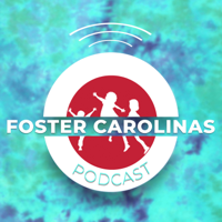 Practical Advice from Foster Mama, Katie Reed