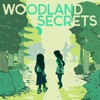 Woodland Secrets artwork