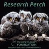Research Perch artwork