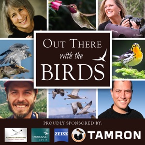 Episode 58: Julie Zickefoose and Saving Jemima: Life and Love with a Hard-Luck Jay