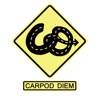 CarPod Diem artwork