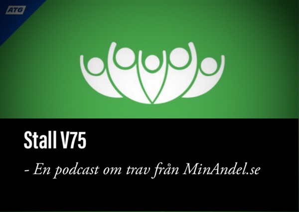 Stall V75 - En podcast om trav