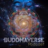 Buddhaverse Podcast artwork
