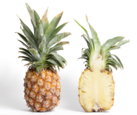 God's Pineapples podcast