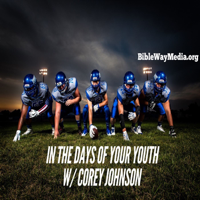 In the Days of Your Youth podcast