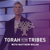 Torah to the Tribes artwork