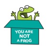 You Are Not A Frog artwork