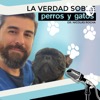 LA VERDAD SOBRE PERROS Y GATOS