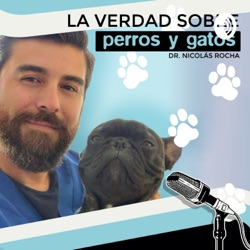 LA VERDAD SOBRE PERROS Y GATOS 