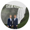 Tveir Fellar - Tveir Fellar