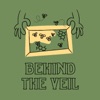 Behind the Veil artwork