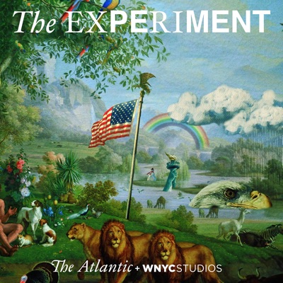 The Experiment The Experiment