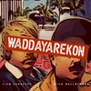 WADDAYAREKON artwork