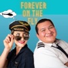 Forever on the Fly artwork
