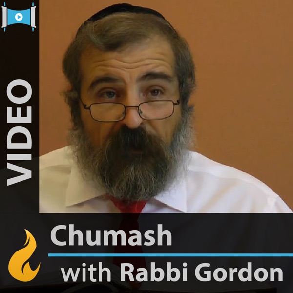 Daily Chumash with Rashi (Video) - by Yehoshua B. Gordon