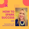 How to Spark Success artwork