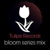 Bloom Series Mix artwork