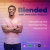 Blended - Navigating The Blended Family Experience artwork