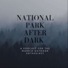 National Park After Dark artwork
