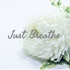 Just Breathe artwork