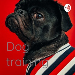 Dog training 