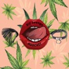 Kink, Intimacy, and Cannabis Lounge artwork