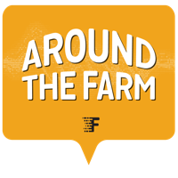 The New Way to Optimize Grain Marketing 