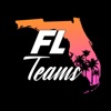 FL Teams artwork