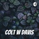 Colt W Davis