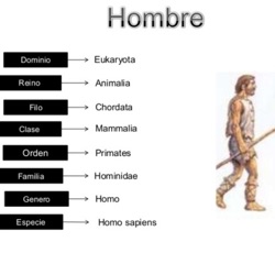 La Evolución Del Hombre Y su Clasificación Taxonomíca