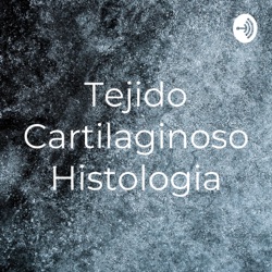 Tejido Cartilaginoso Histologia