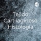 Tejido Cartilaginoso_Histologia_GA_Podcast