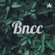 A BNCC