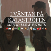 I väntan på katastrofen - Kalle Zackari Wahlström