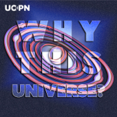 Why This Universe? - Dan Hooper, Shalma Wegsman