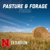 Pasture and Forage Forum artwork