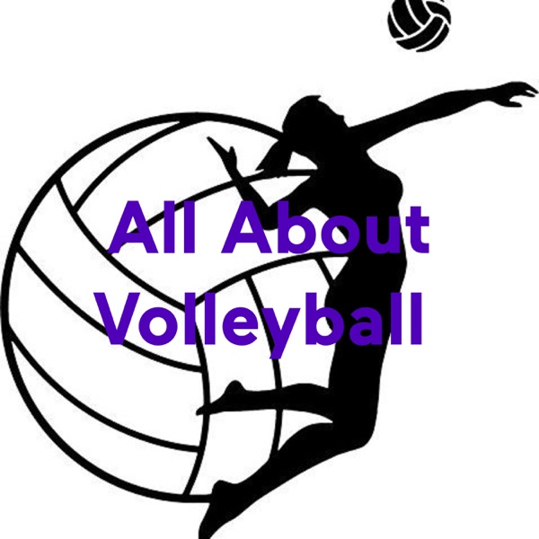 All About Volleyball Artwork