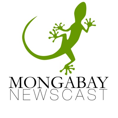 Mongabay Newscast Mongabay Newscast